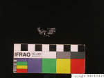 L_V23d1699 J1q875.3 Ux06 dM la f229.jpg L_V23d1699 J1q875.3 Ux06 dM la f229